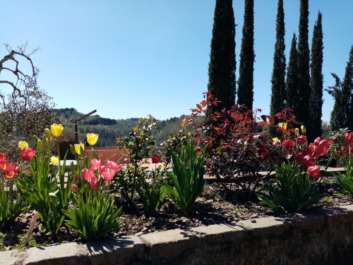 Gervasella Villa Pontedera Dış mekan fotoğraf