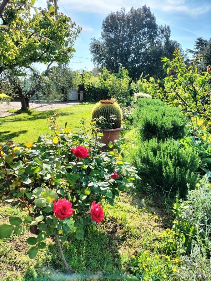 Gervasella Villa Pontedera Dış mekan fotoğraf
